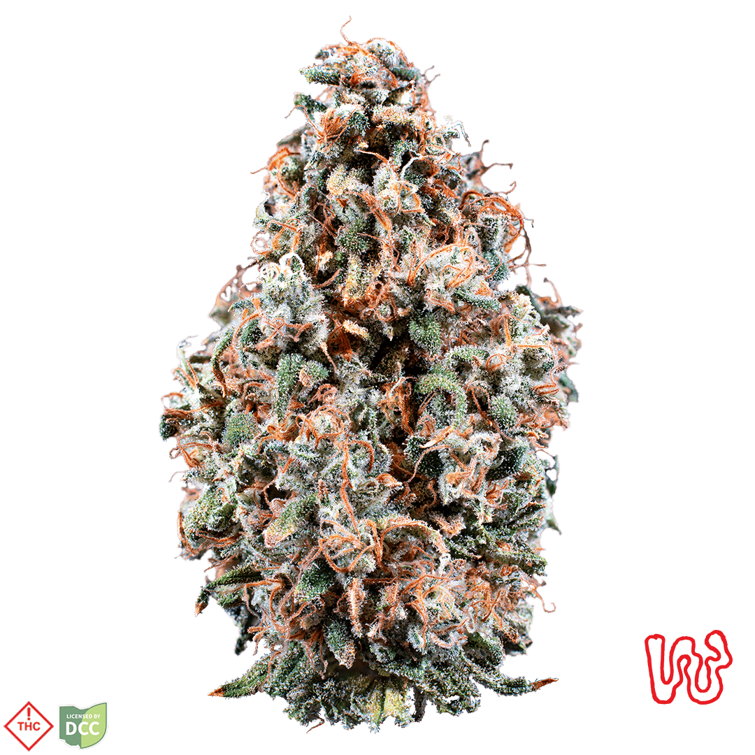 Cheery Jungle [5.66g]