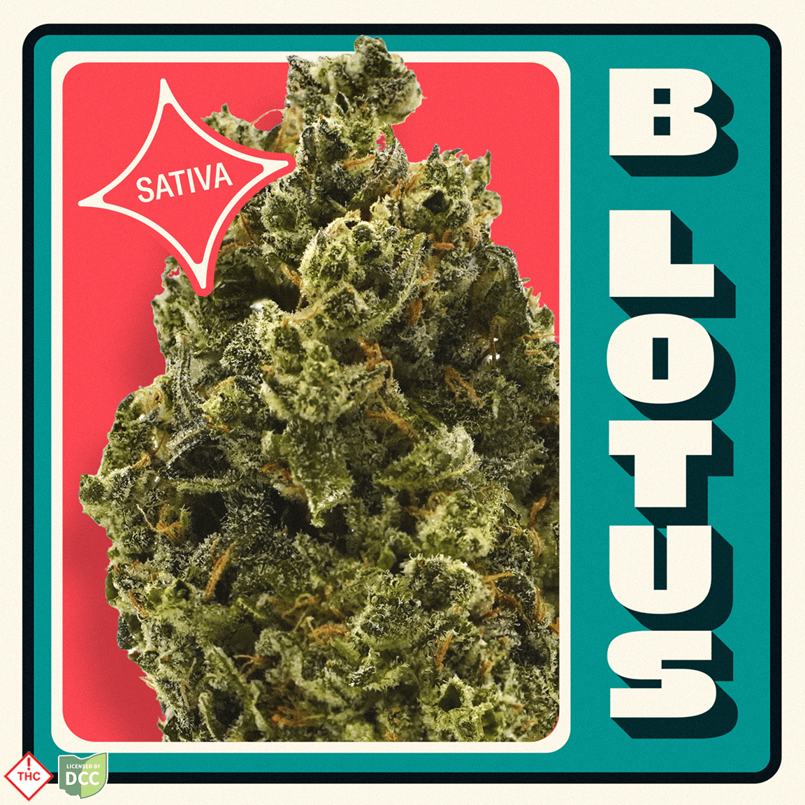 B Lotus [14.15g]