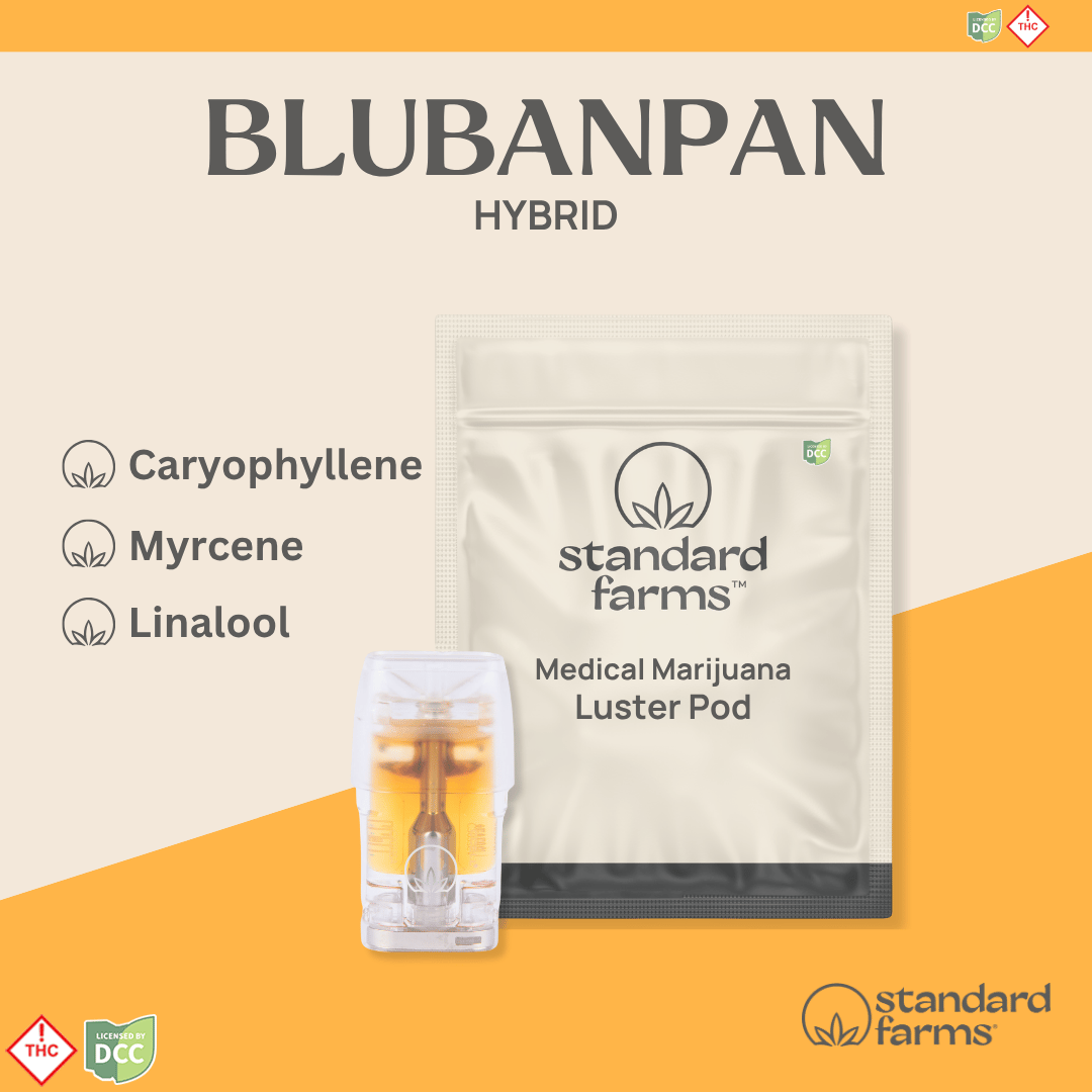 BluBanPan (BlueBR BNA PNCK)