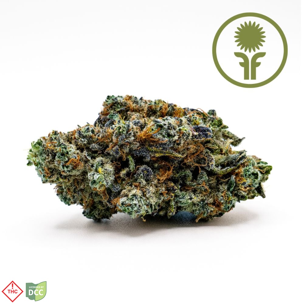 Green Diesel