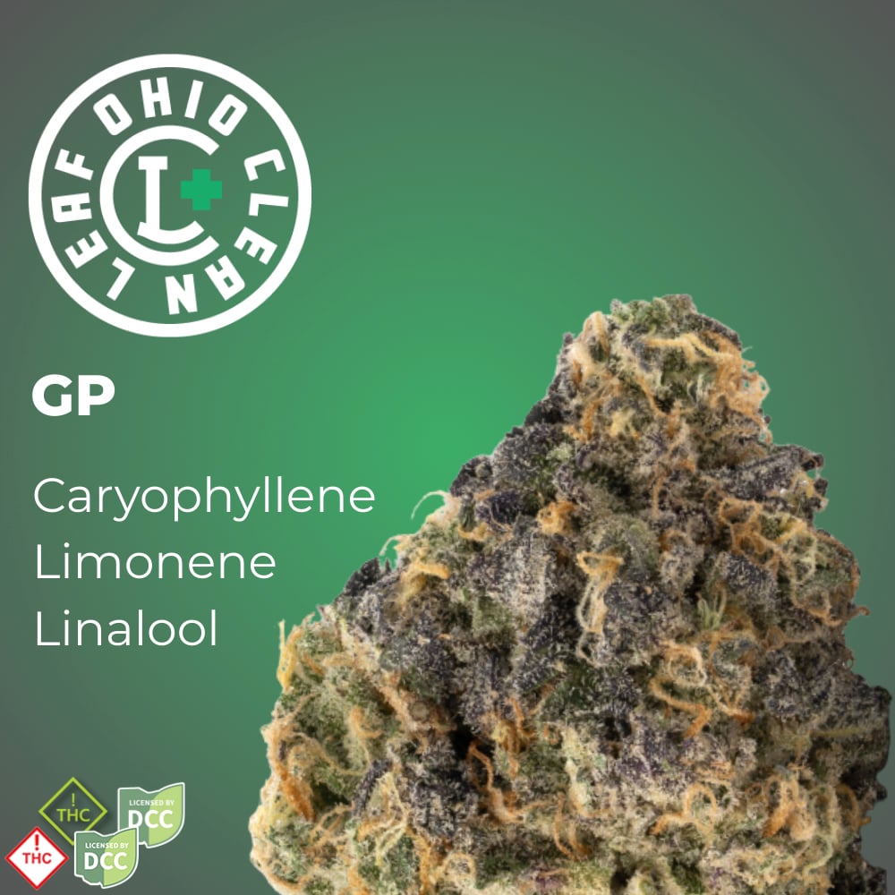 GP [14.15g]