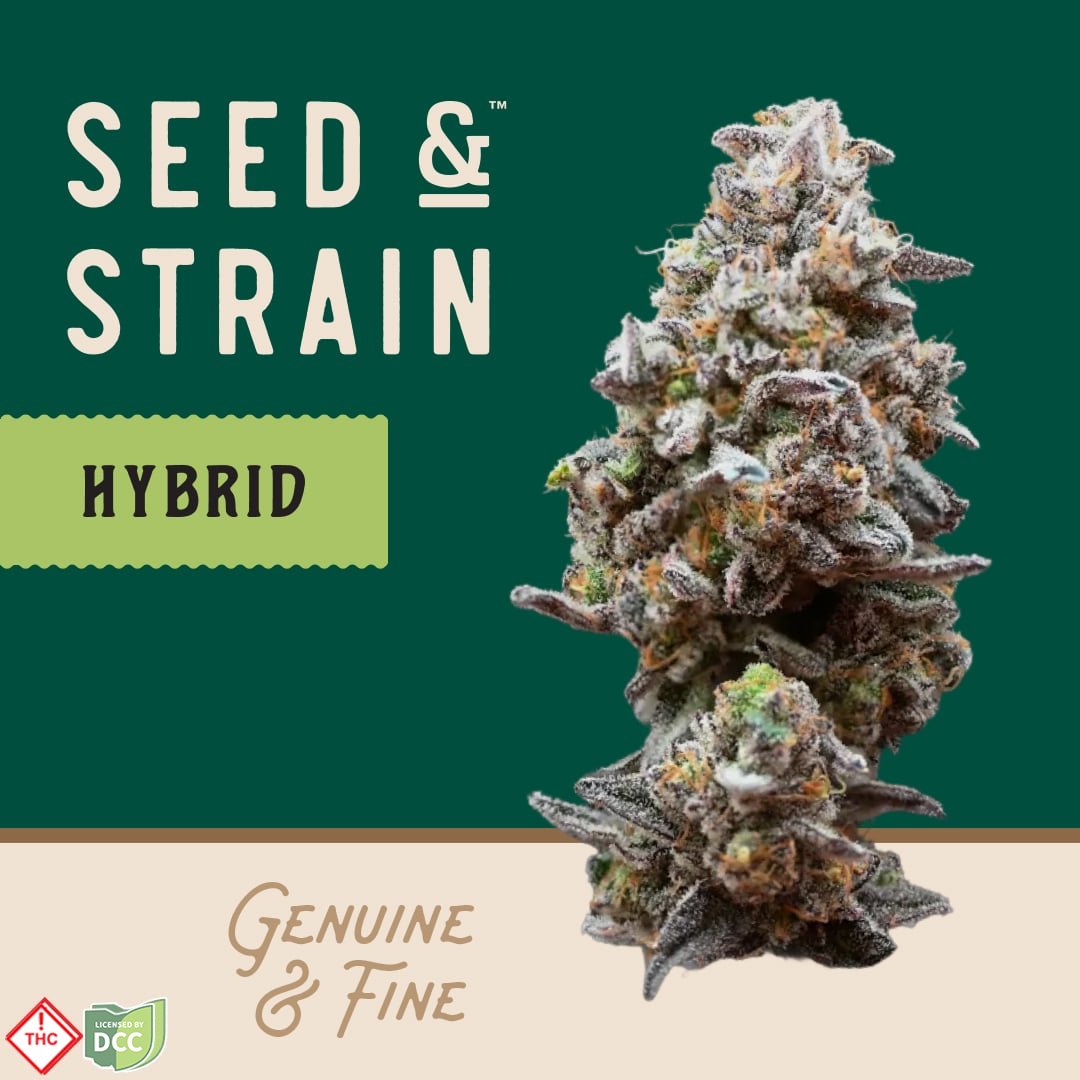 Blueberry MAC [14.15g]