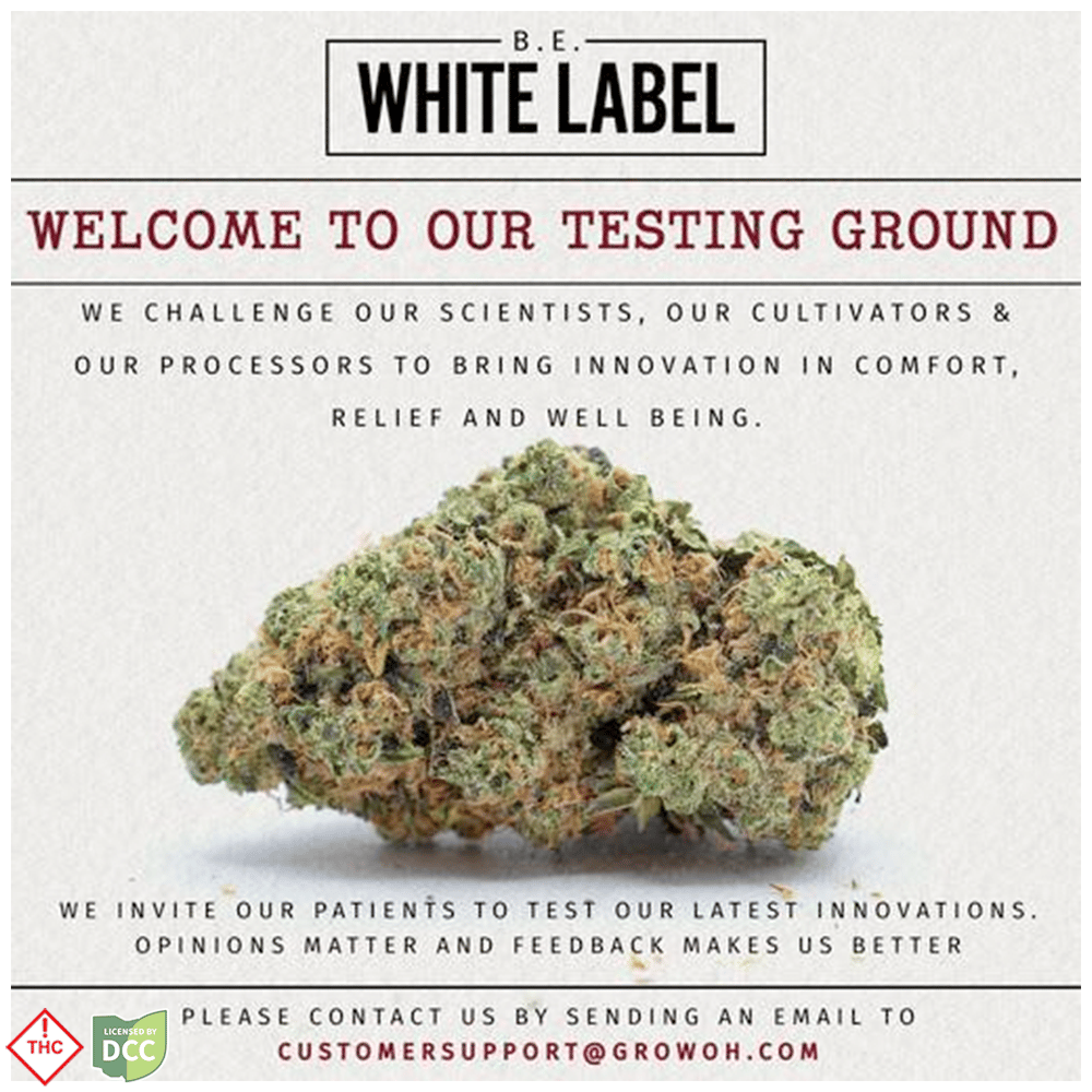 Project 4516 [28.3g]