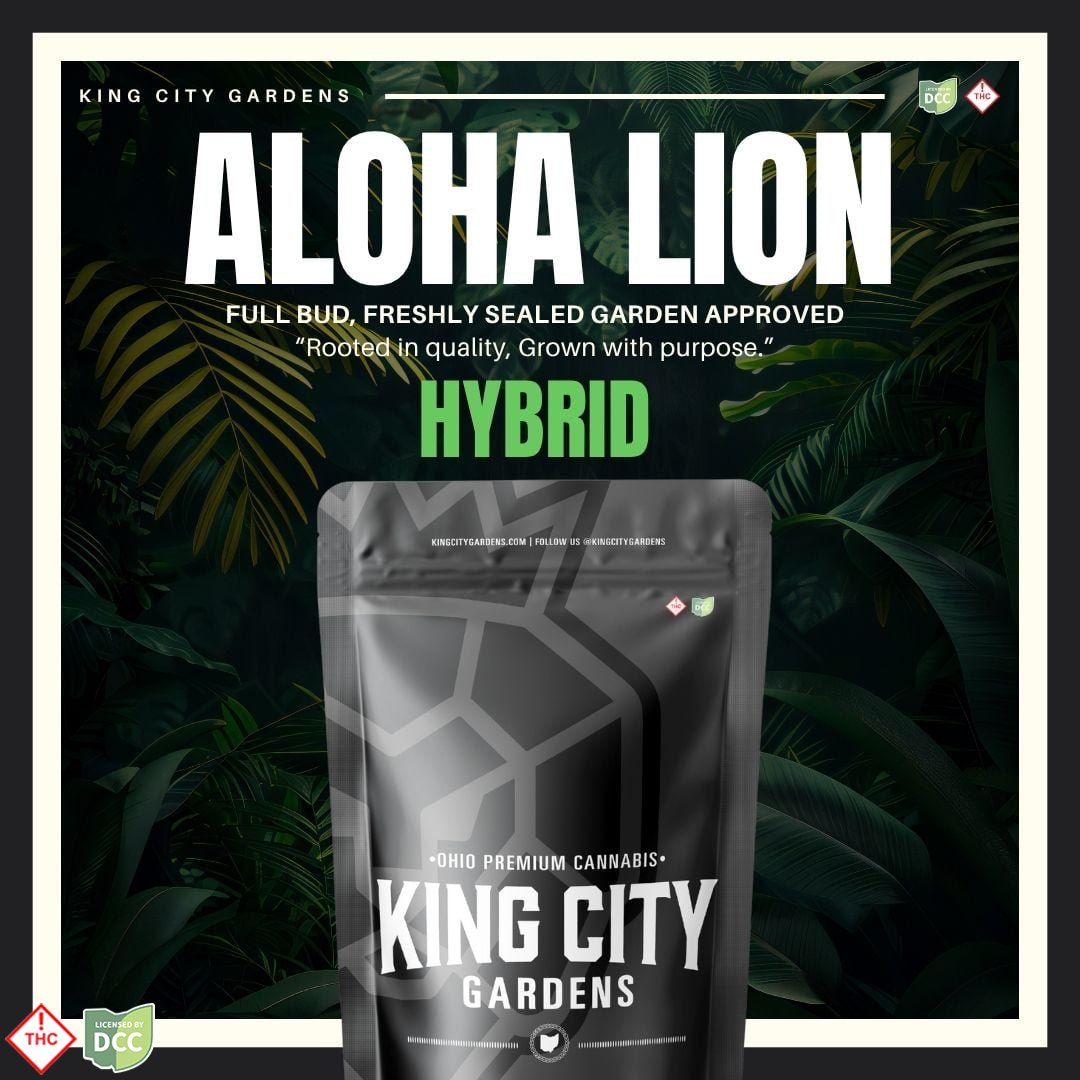 Aloha Lion