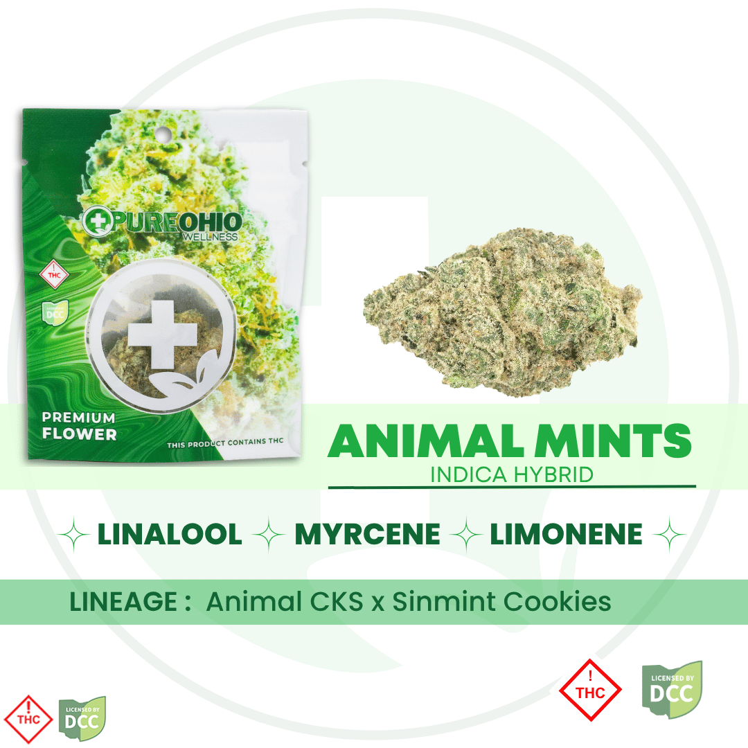 Animal Mints Animal Mints