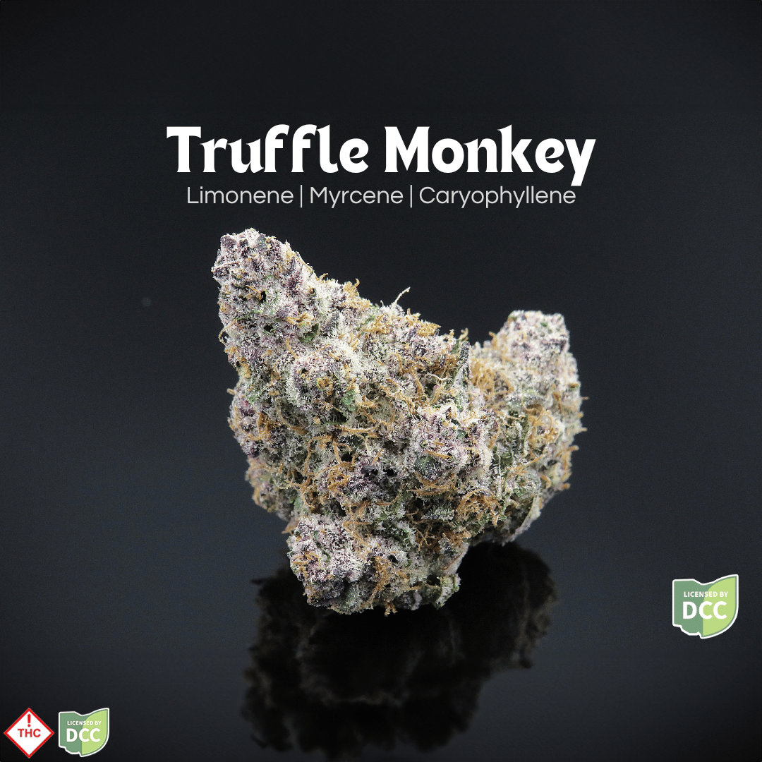 Truffle Monkey