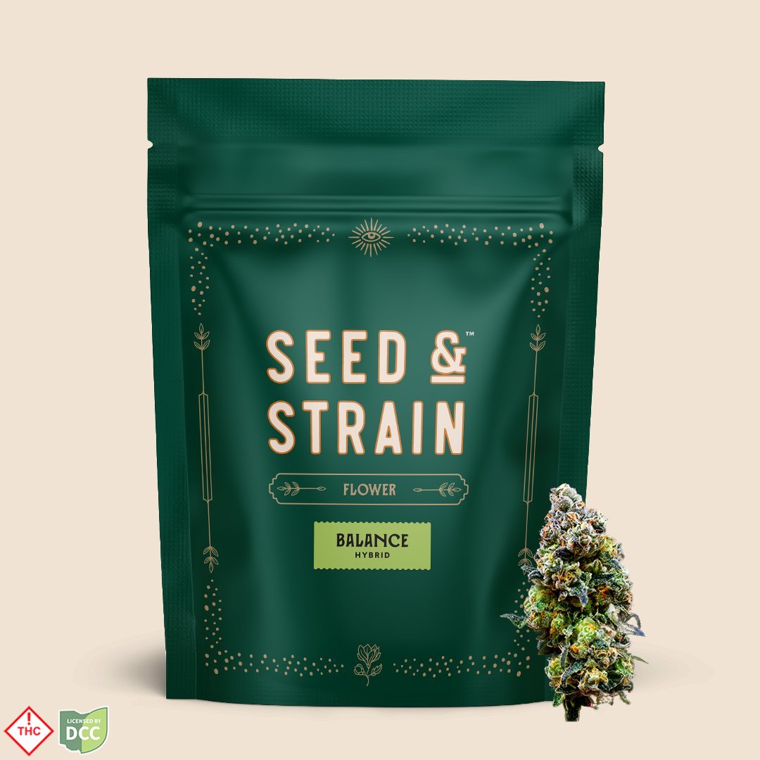 激ヤバ実生選抜 【 Loop plants 005 】 検 冰雹 麻花龍 悪魔 Blue Lotus - Maven Genetics