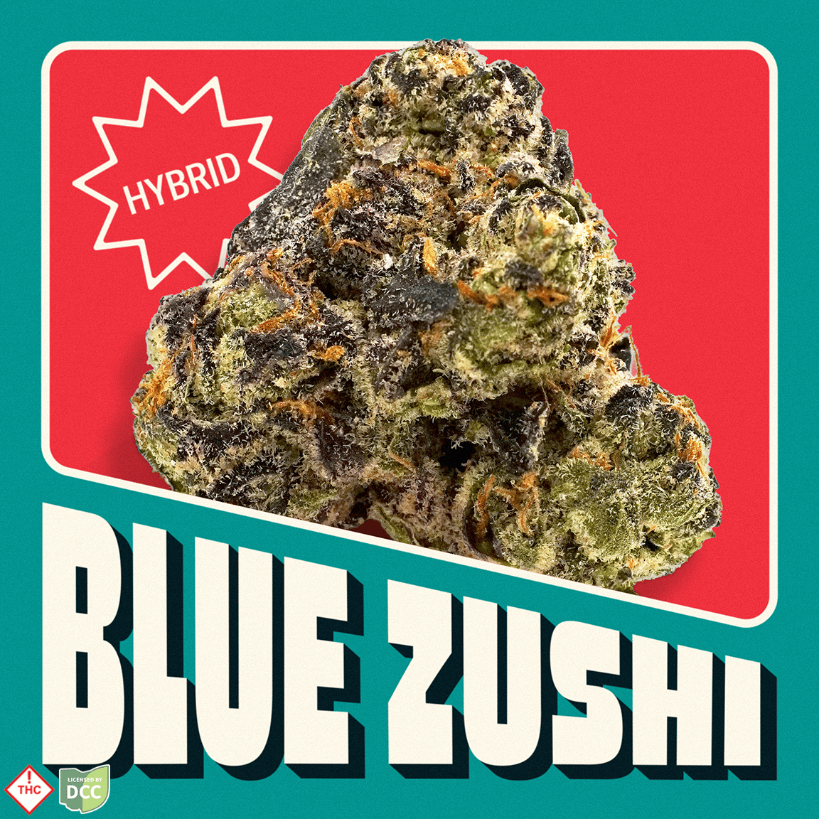 Blue Zushi
