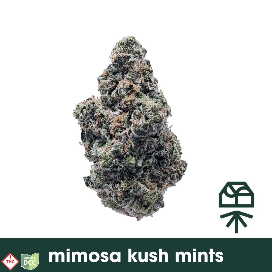 Mosa Kush Mints