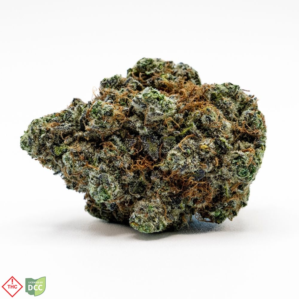 Pineapple Donut [2.83g]