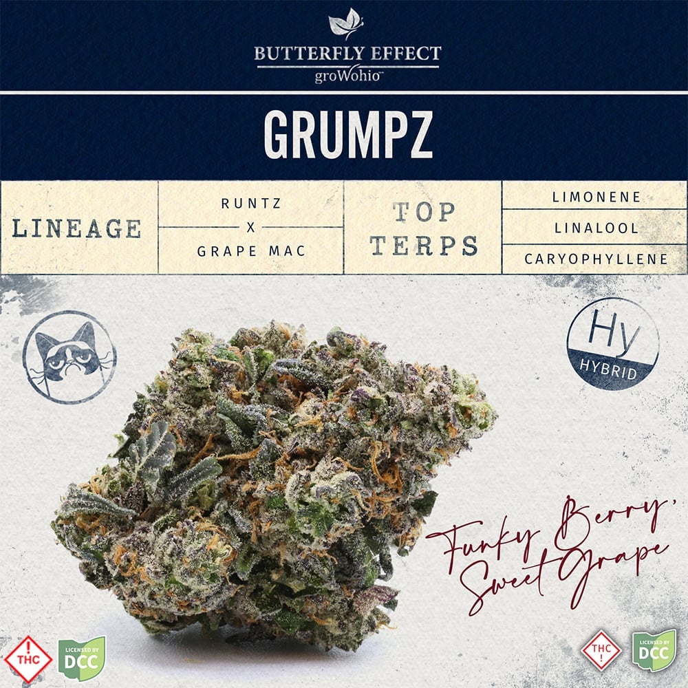 GRMPZ