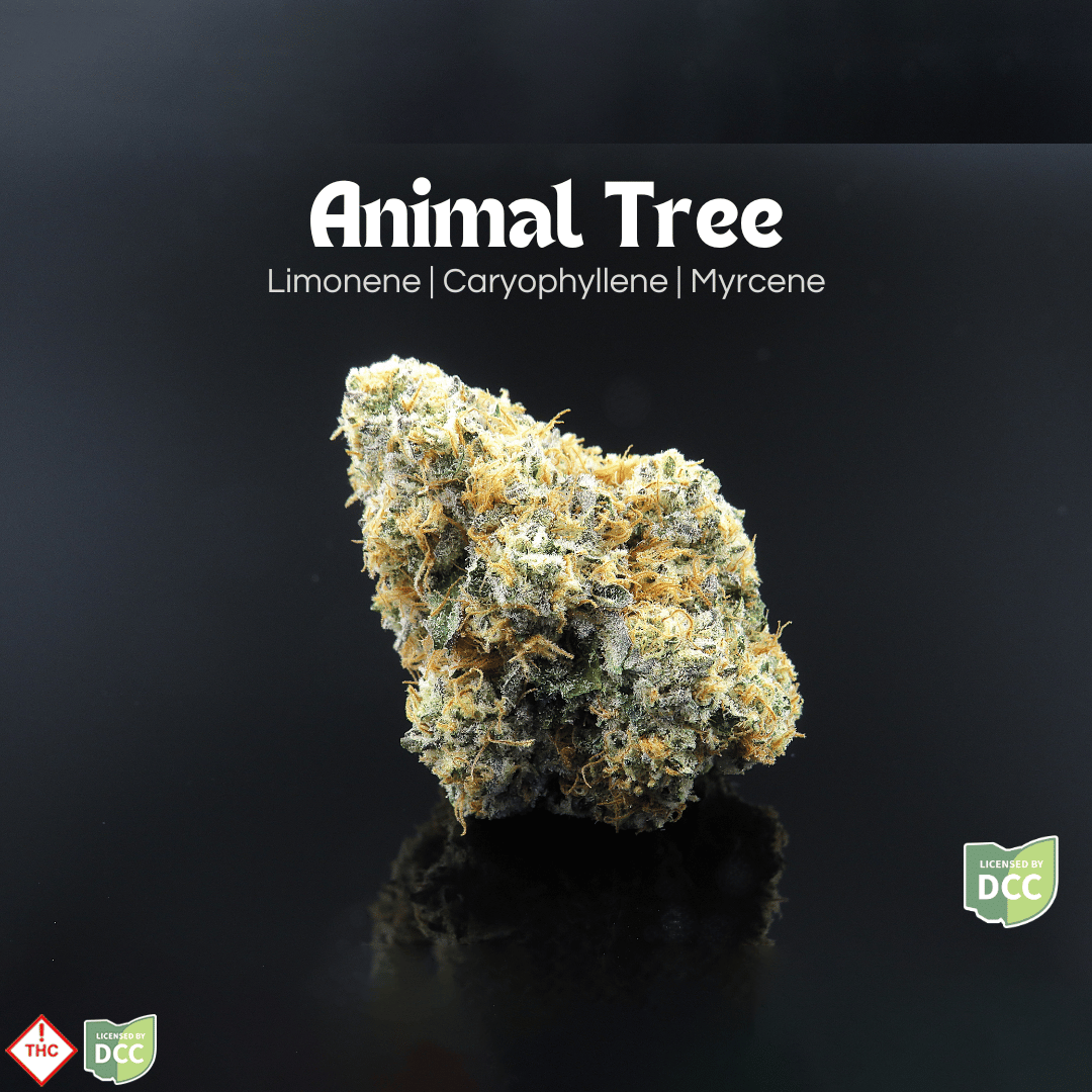 Animal Tree [14.15g]