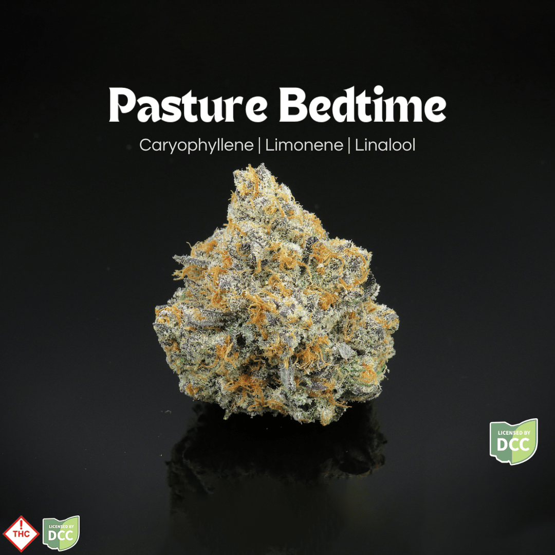 Pasture Bedtime [14.15g]