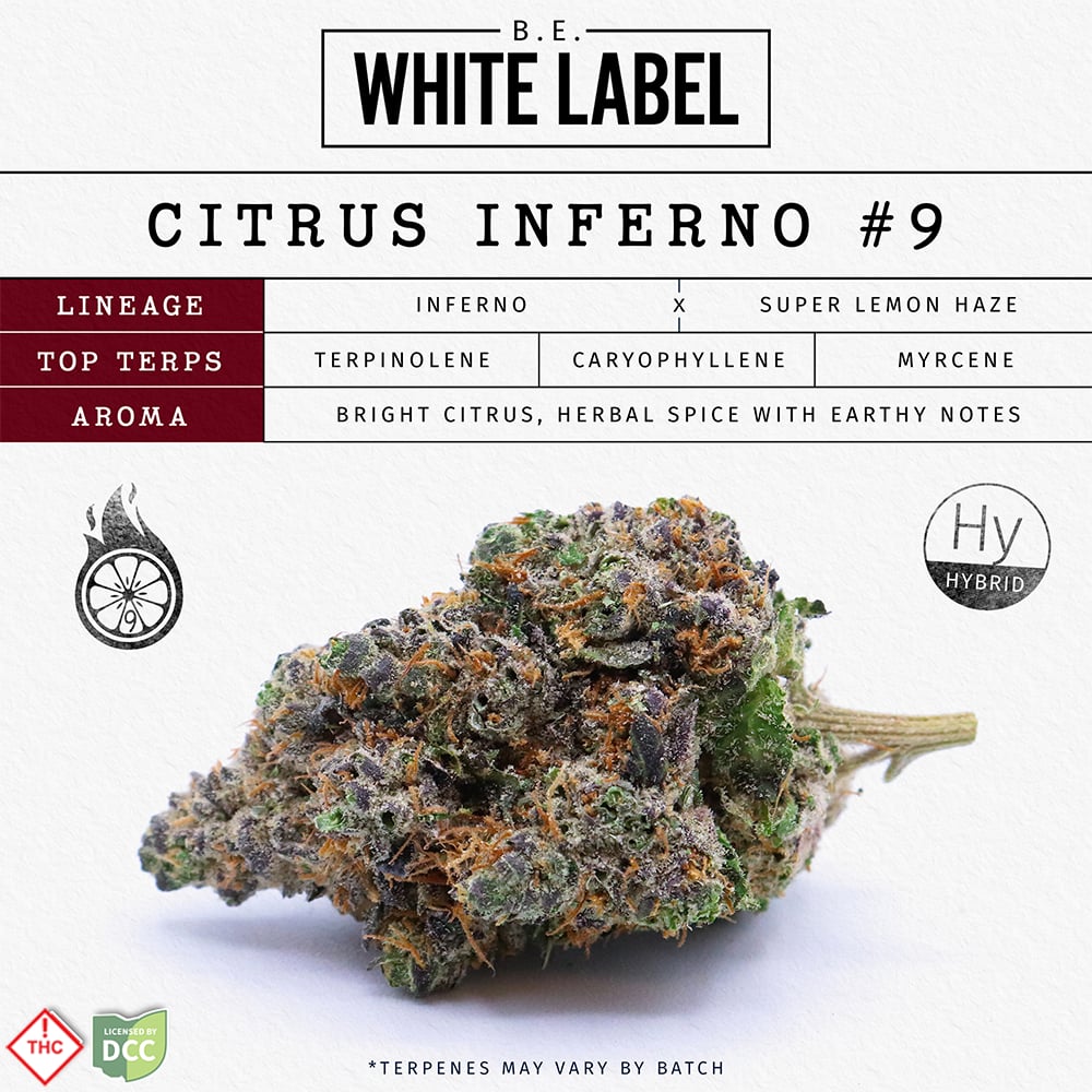 Citrus Inferno #9 [2.83g]