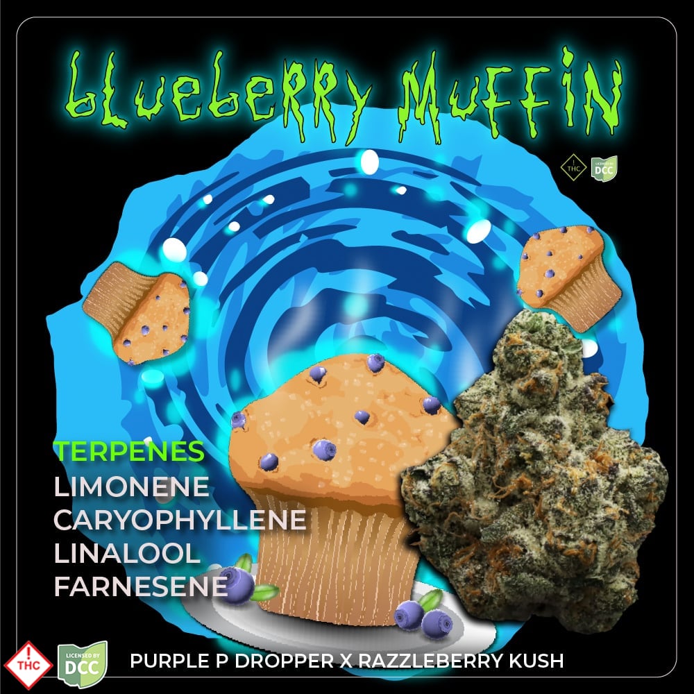 Blueberry Muffin #3