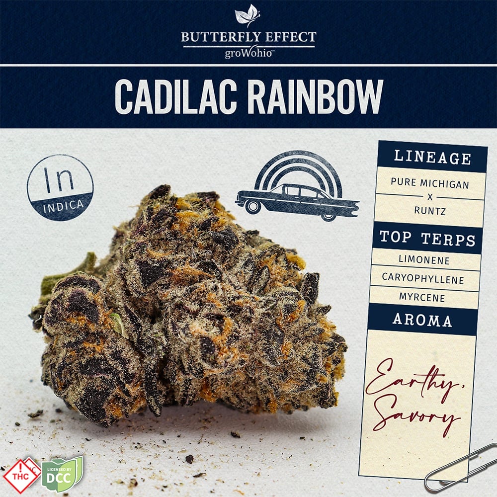 Cadilac Rainbow [14.15g]