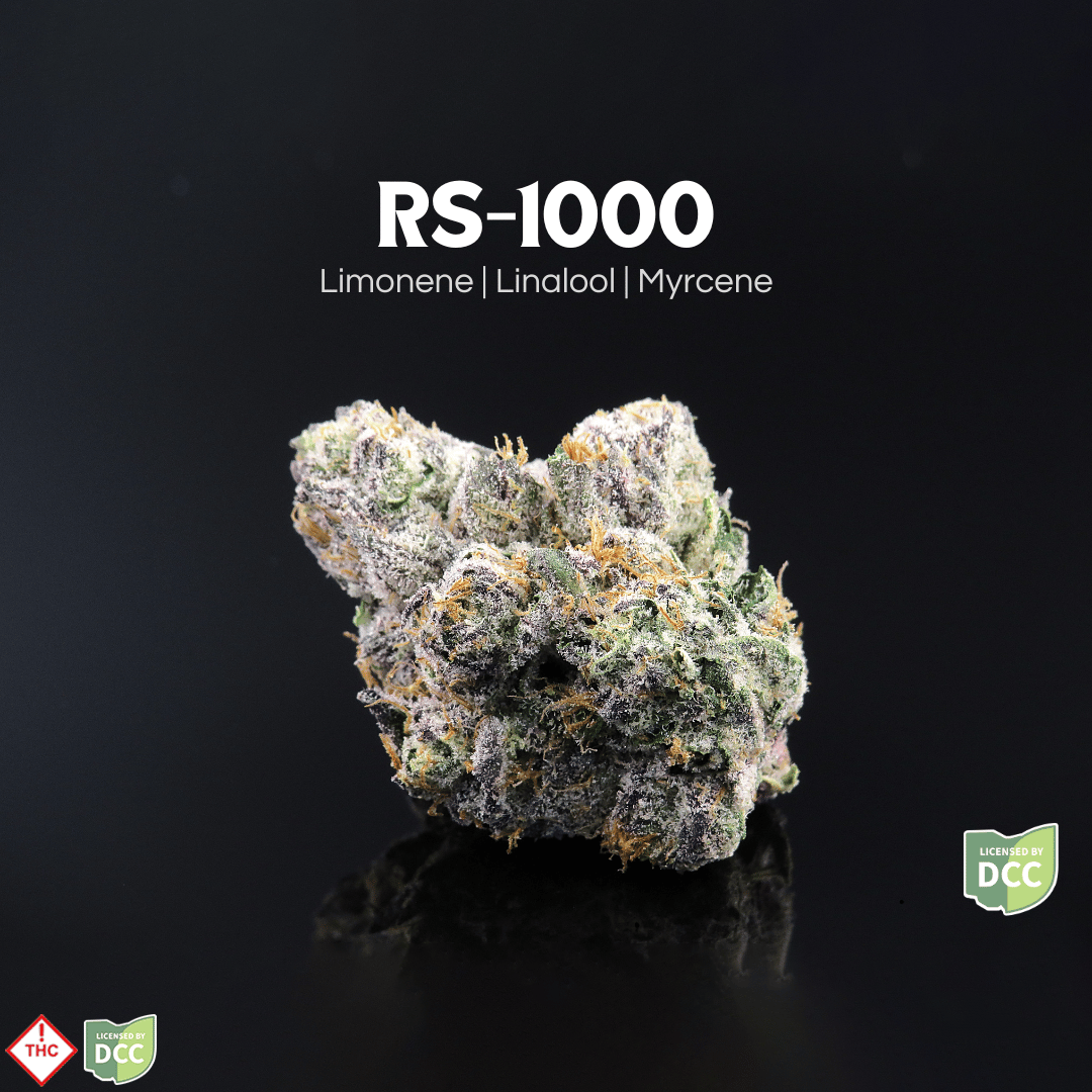 RS-1000 [11.32g]