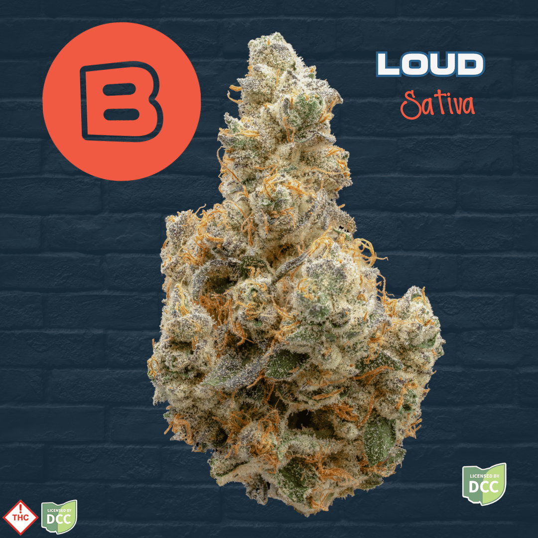Loud