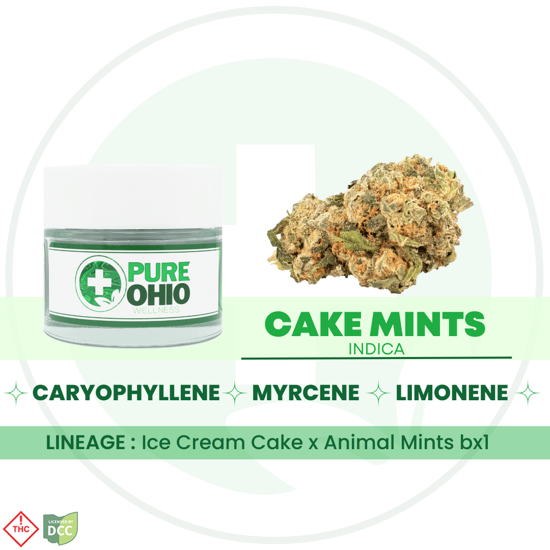 Cake Mints [2.83g]