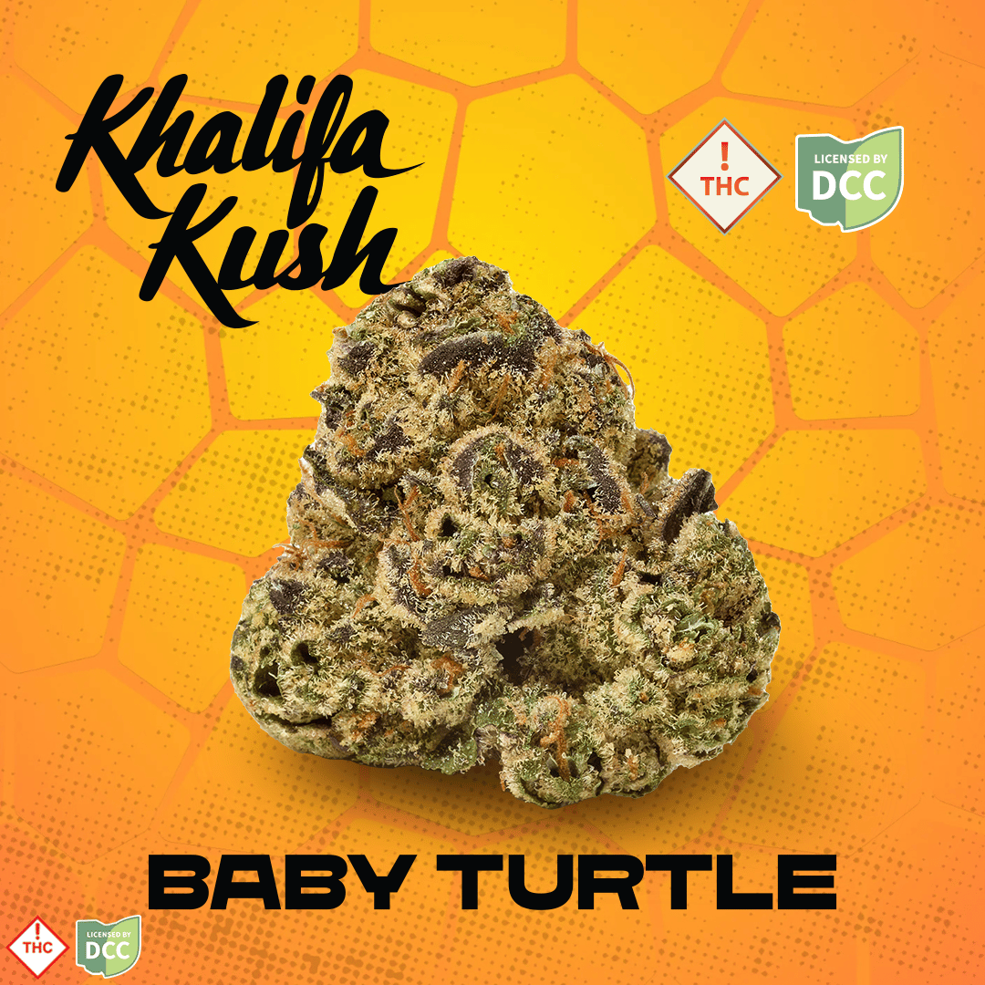 Baby Turtle 3.54g