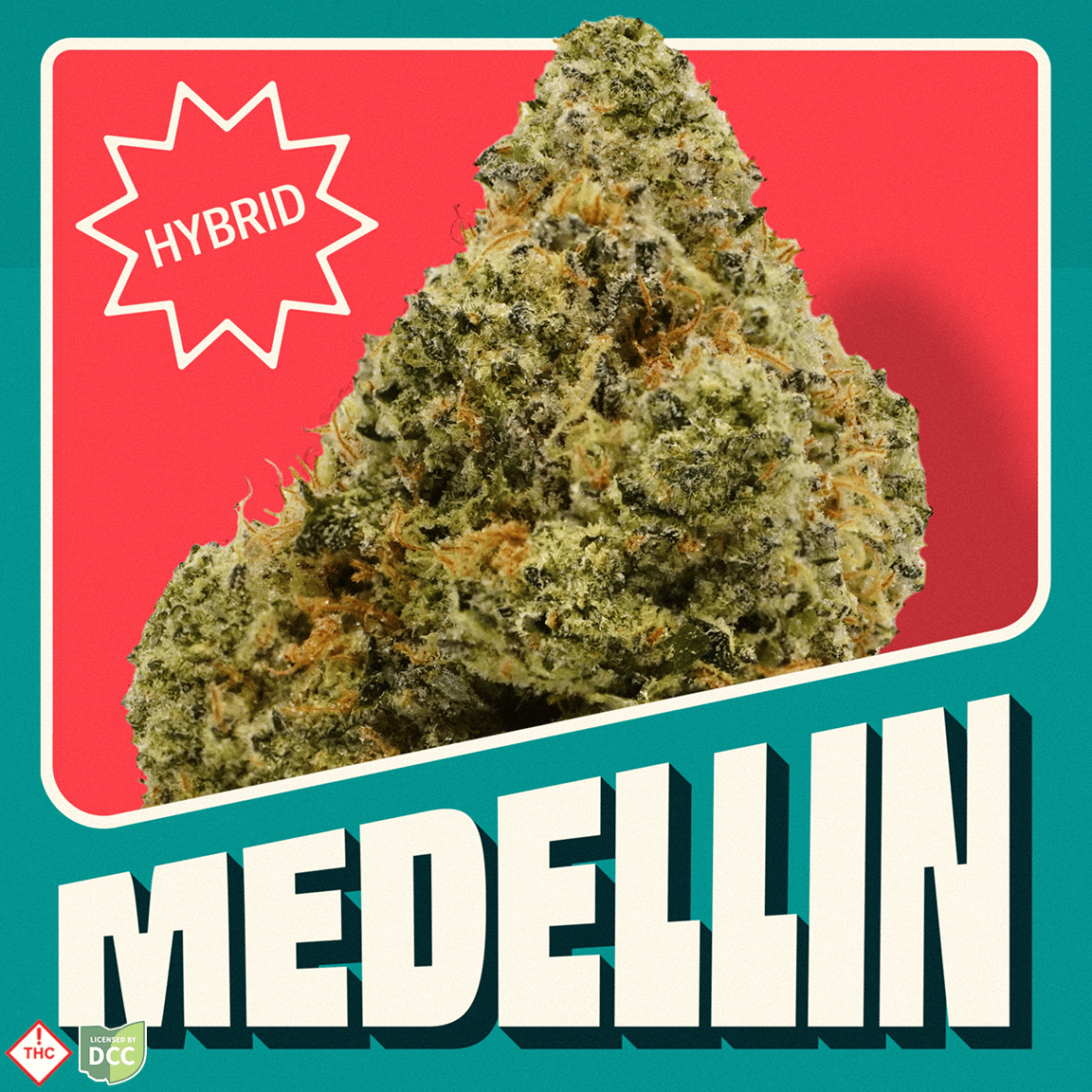 Medellin [14.15g]