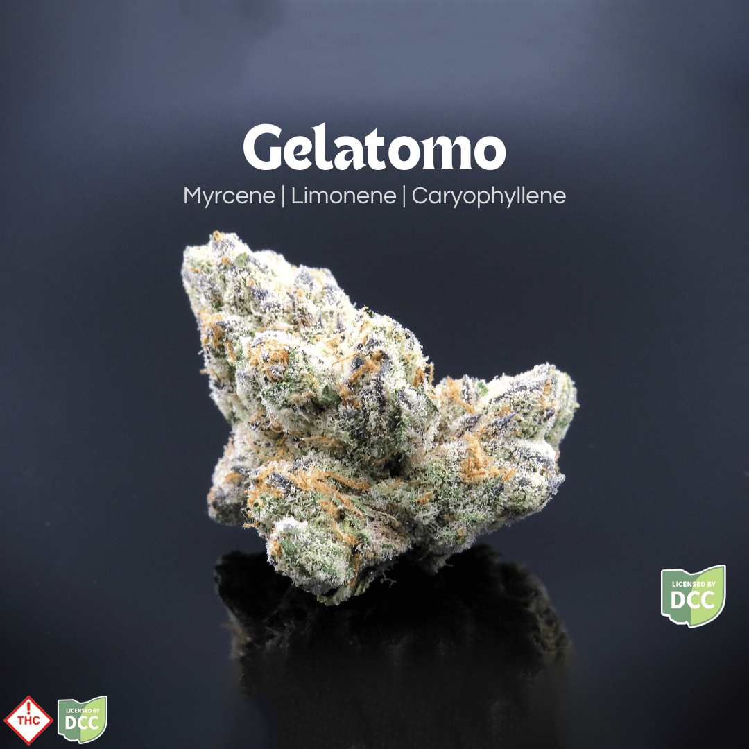 GELmo [14.15g]