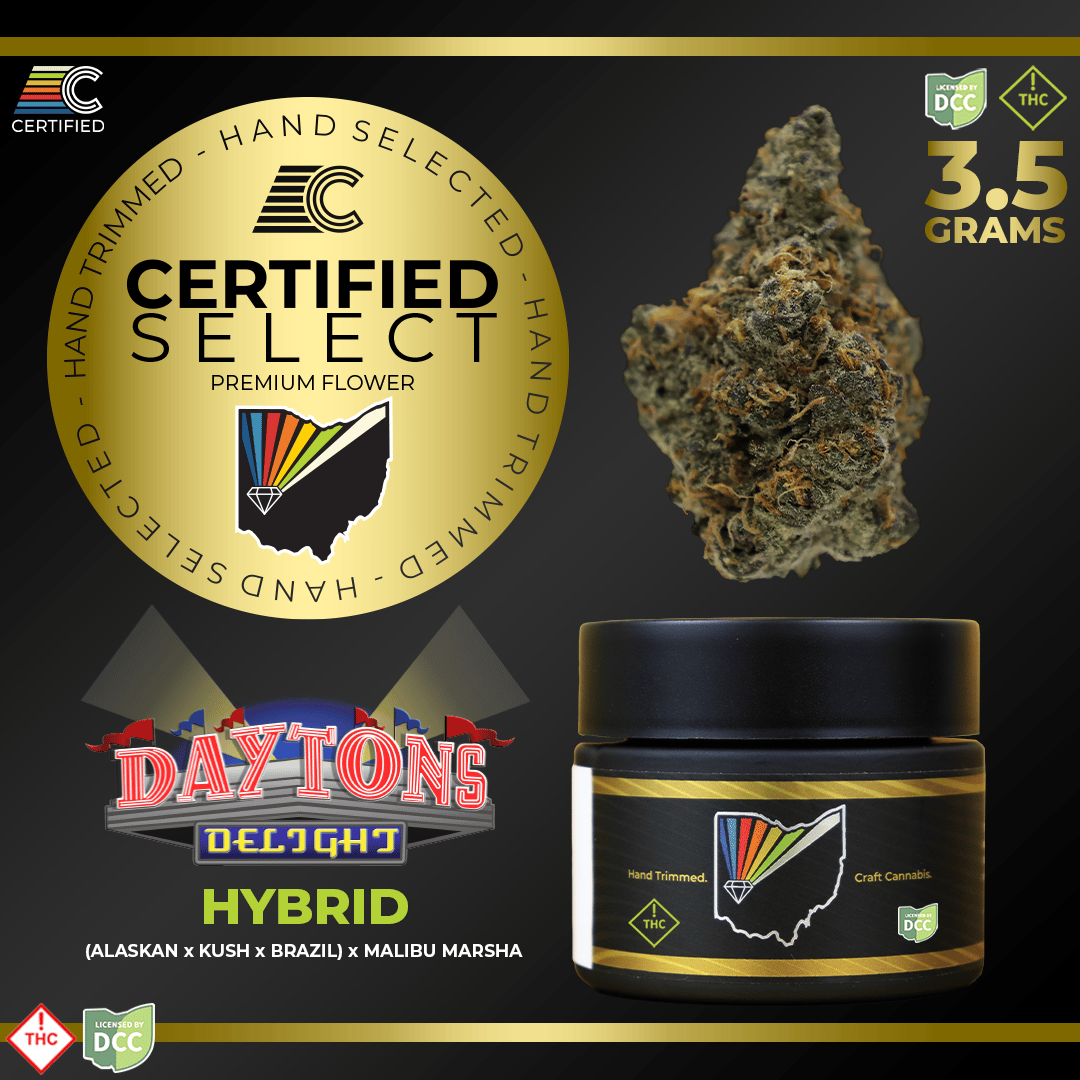 Dayton's Delight #11
