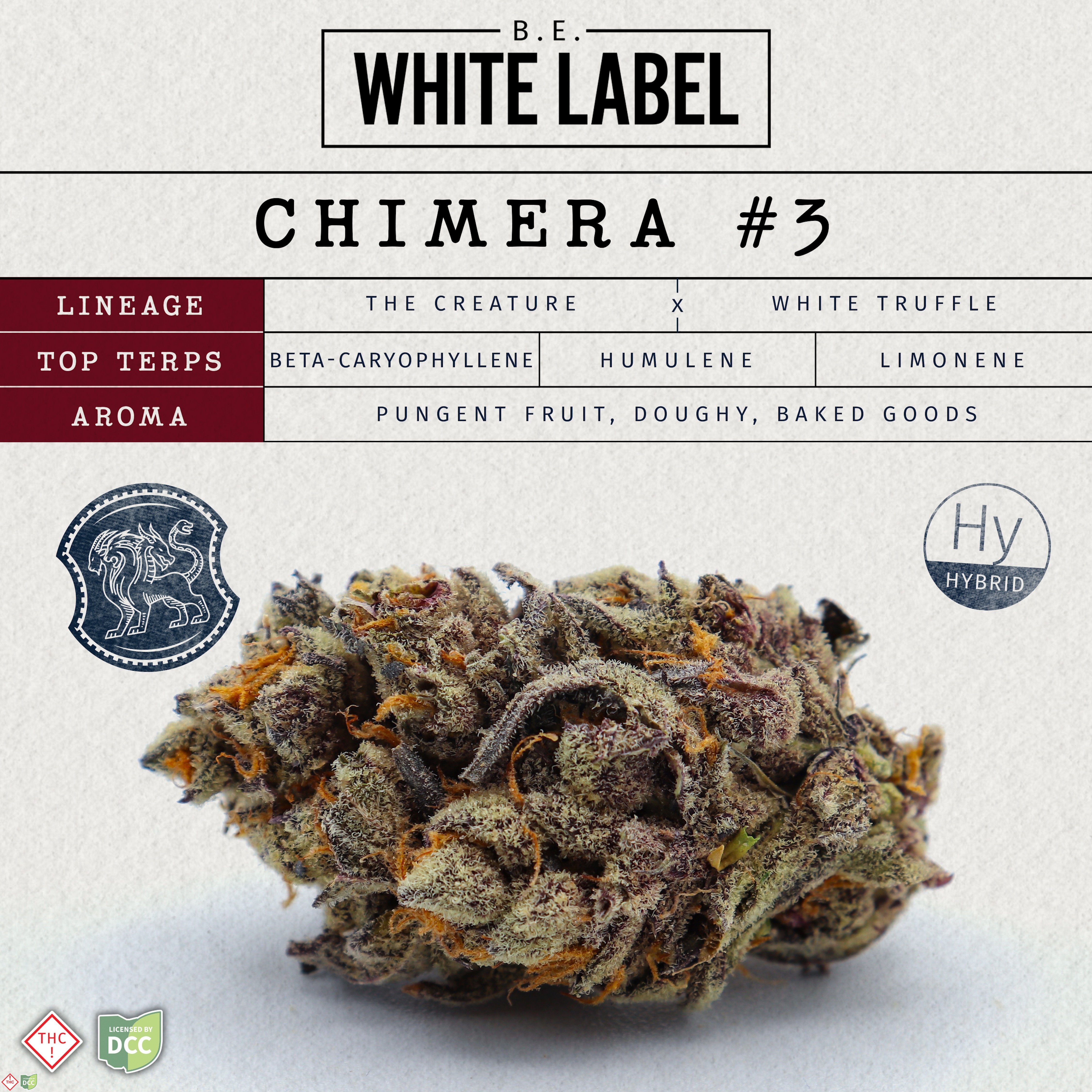 Chimera #3 []