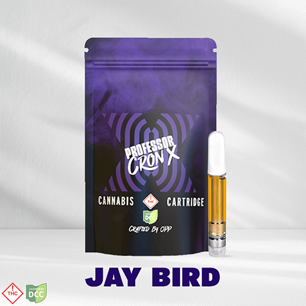 Jay Bird