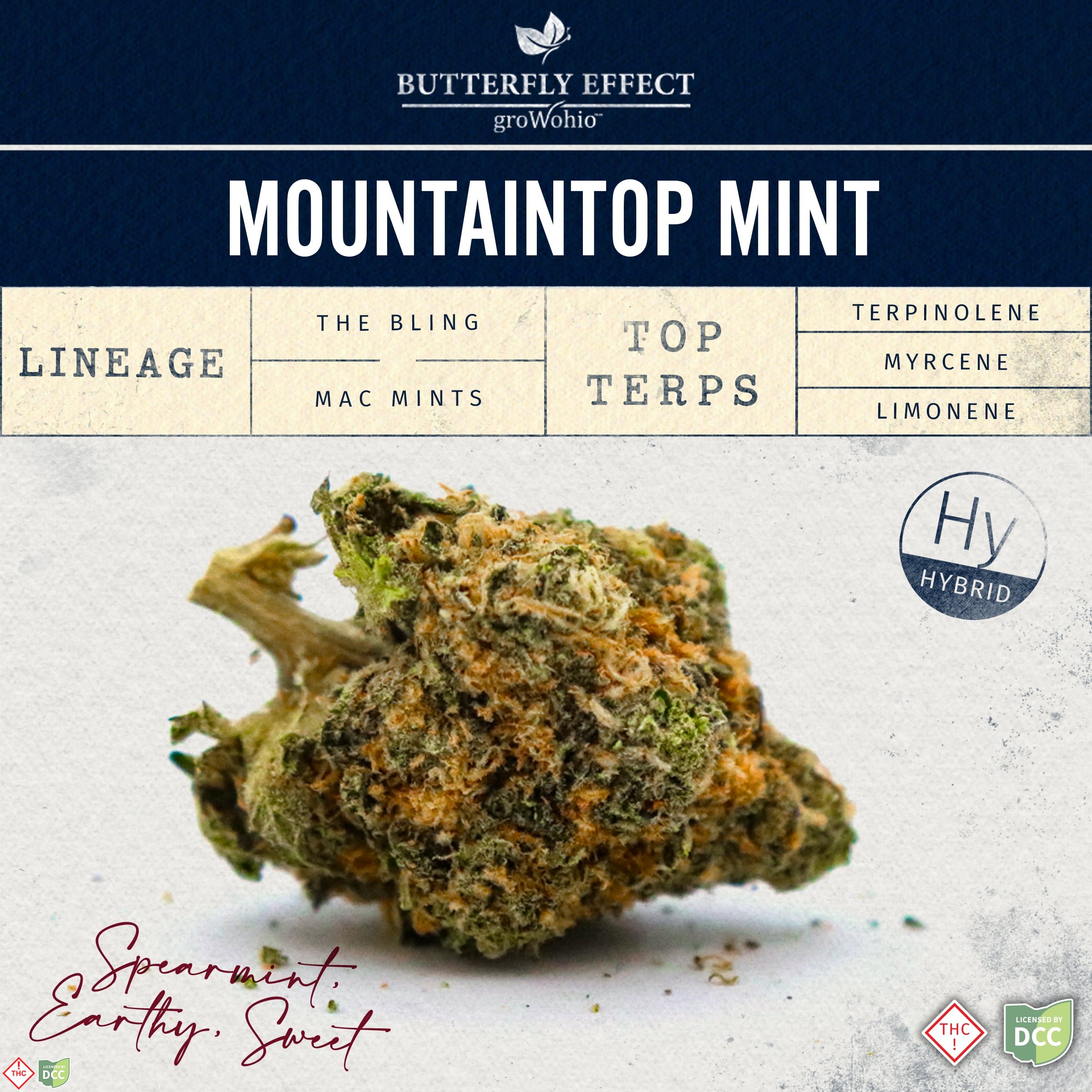 Mountaintop Mint [2.83g]