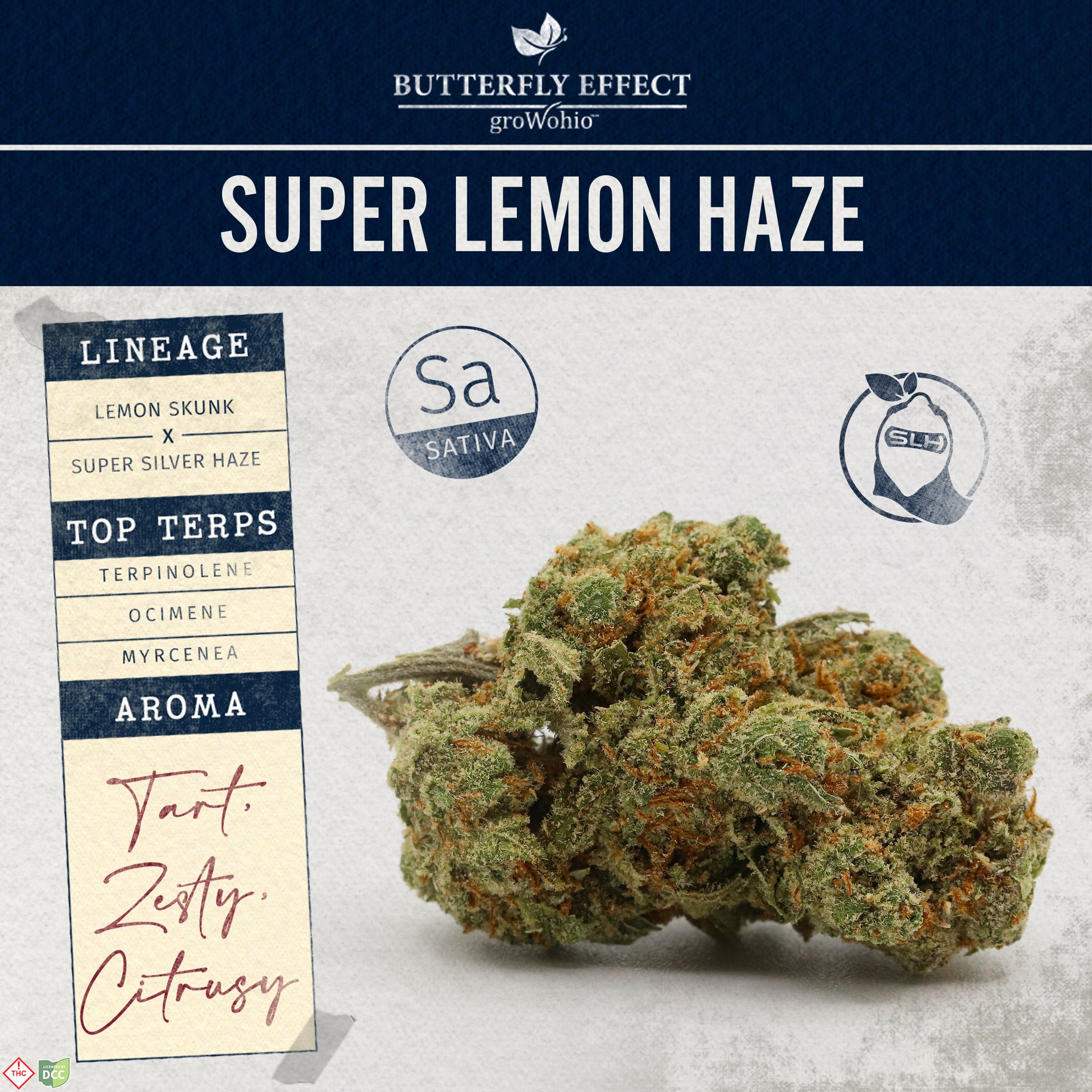 Super Lemon Haze [2.83g]