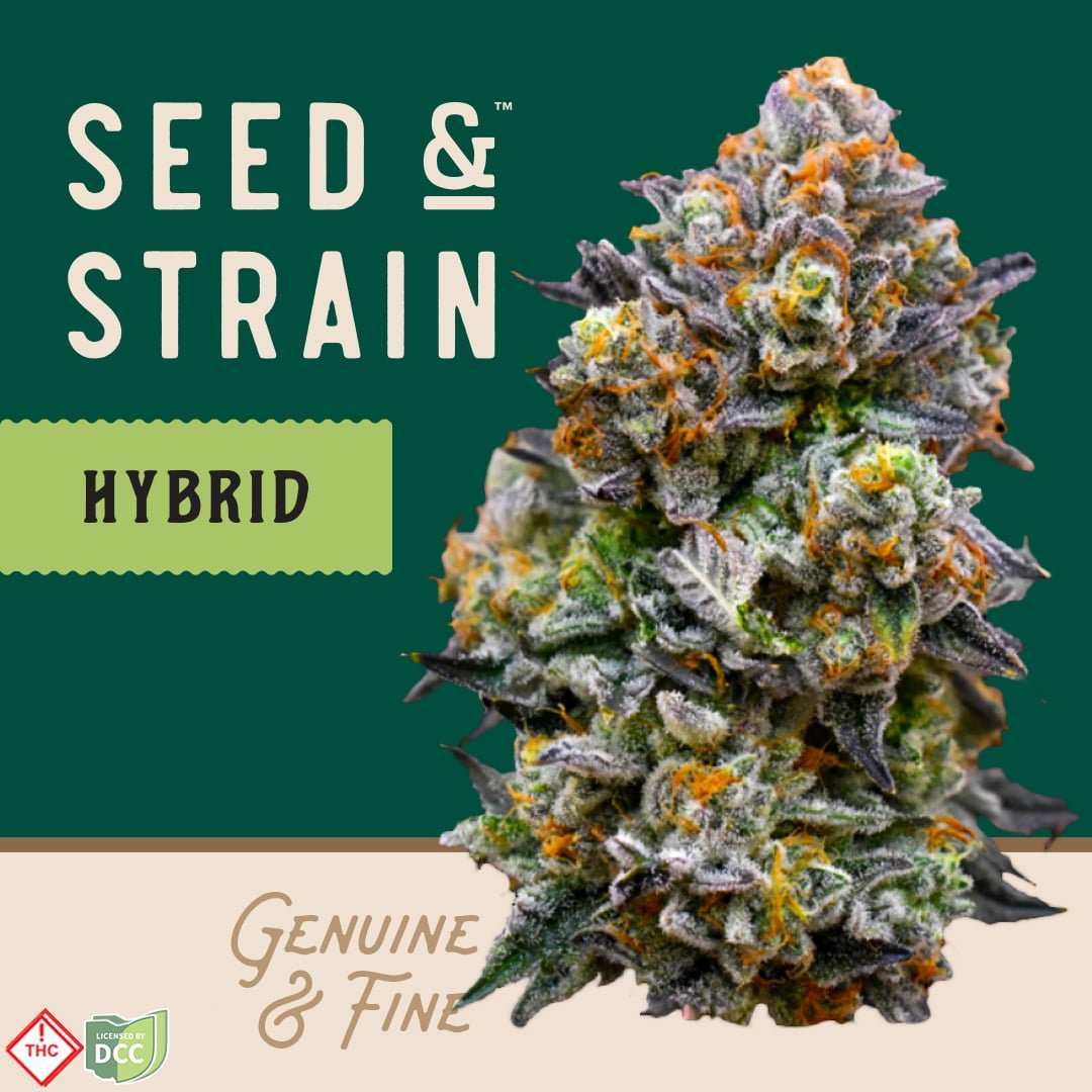 Seed & Strain - Meat Pie - 2.83