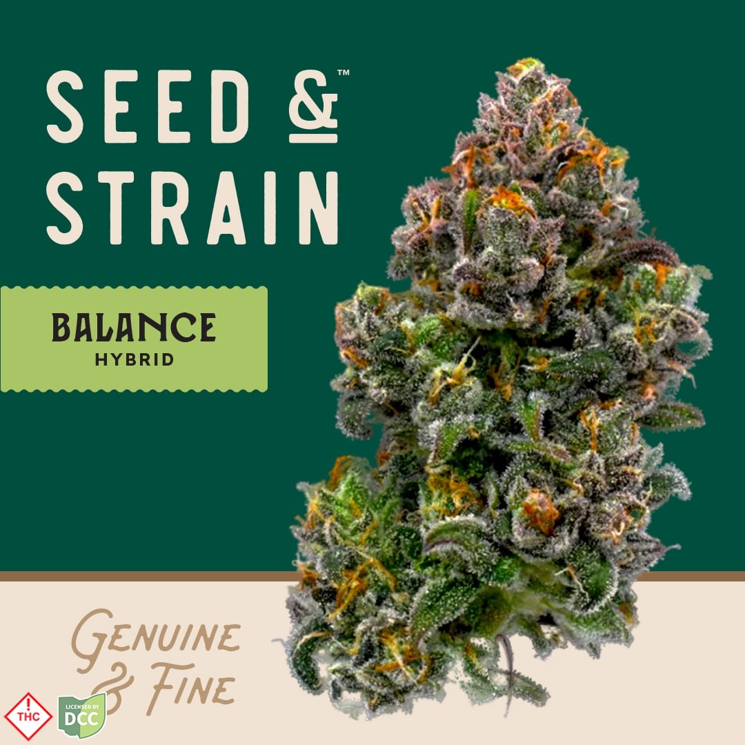 Seed & Strain - Bubbashine - 28.3g [ROUGH CUT]