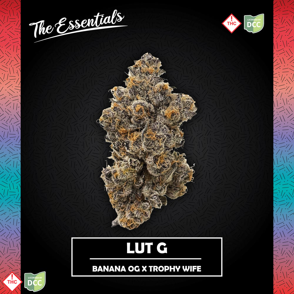 Lut G [5.66g]