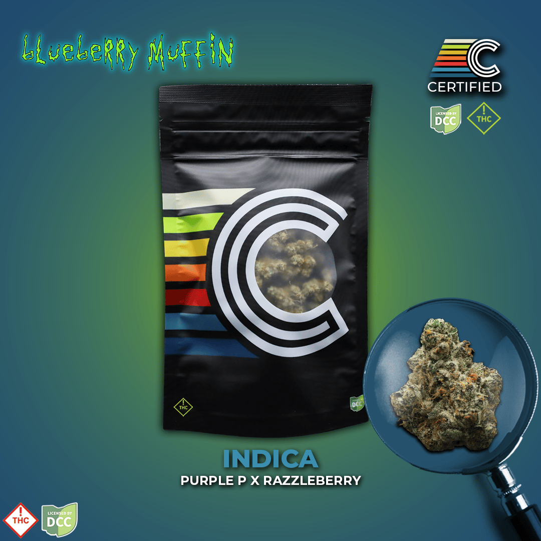 Blueberry Muffin #3 [14.15g]
