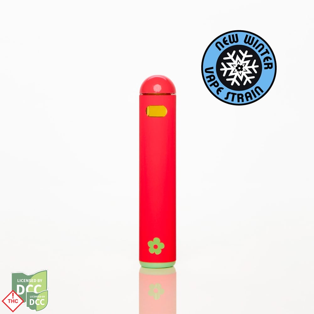 Papaya Paradise | For a Good Afternoon Hybrid