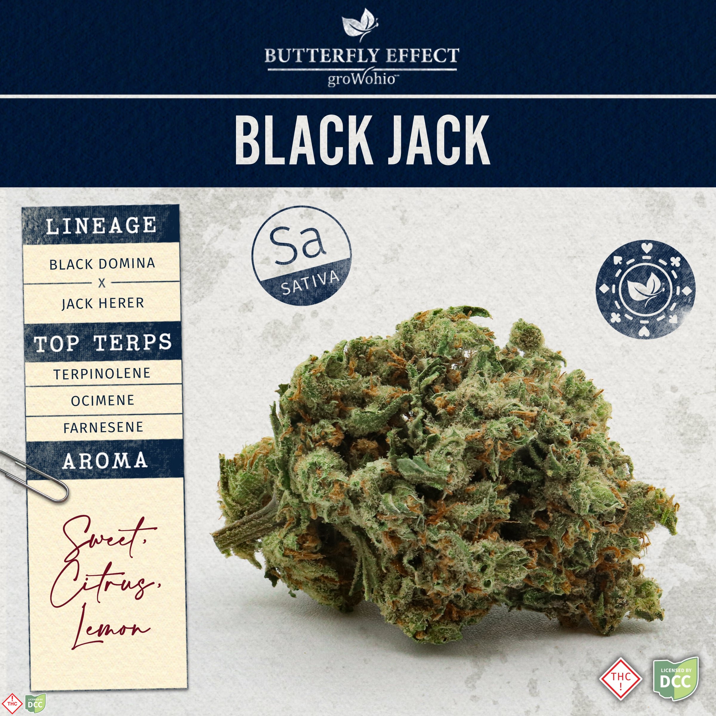 Black Jack [28.3g] (ROUGH CUT)