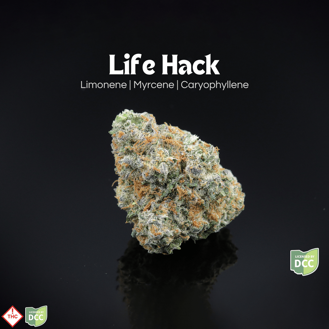 Life Hack [14.15g]