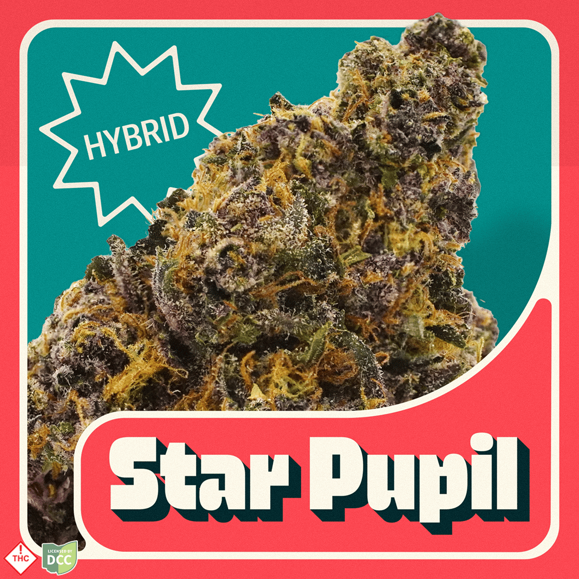 Star Pupil [2.83g]