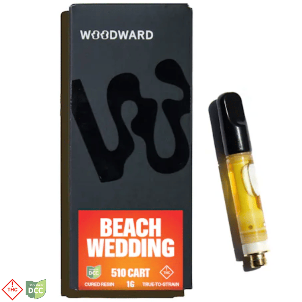 Beach Wedding 1g