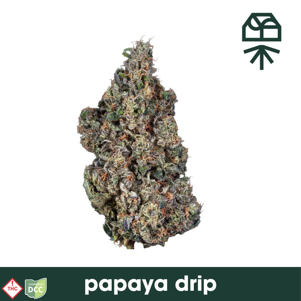 Papaya Drip