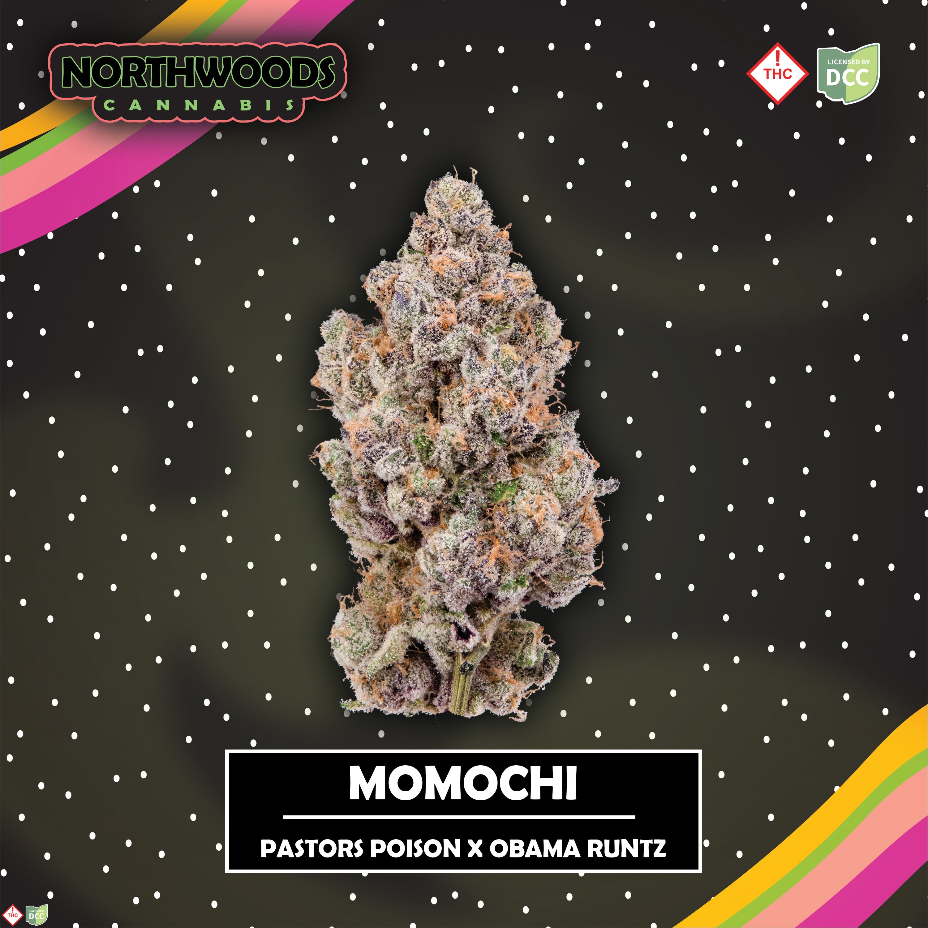 Momochi [2.83g]