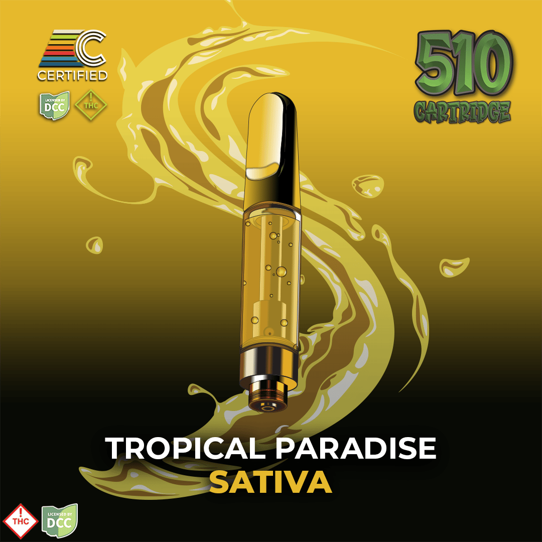 Tropical Paradise