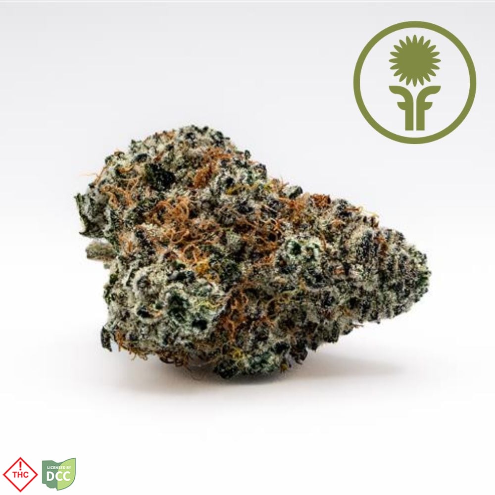 Purple Starfruit [5.66g]