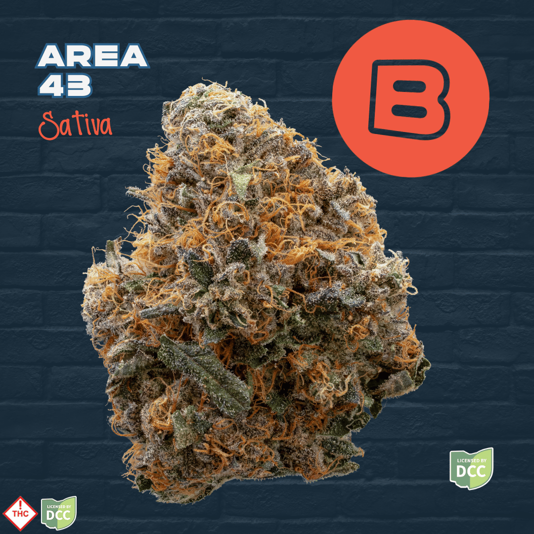 Area 43 [2.83g]