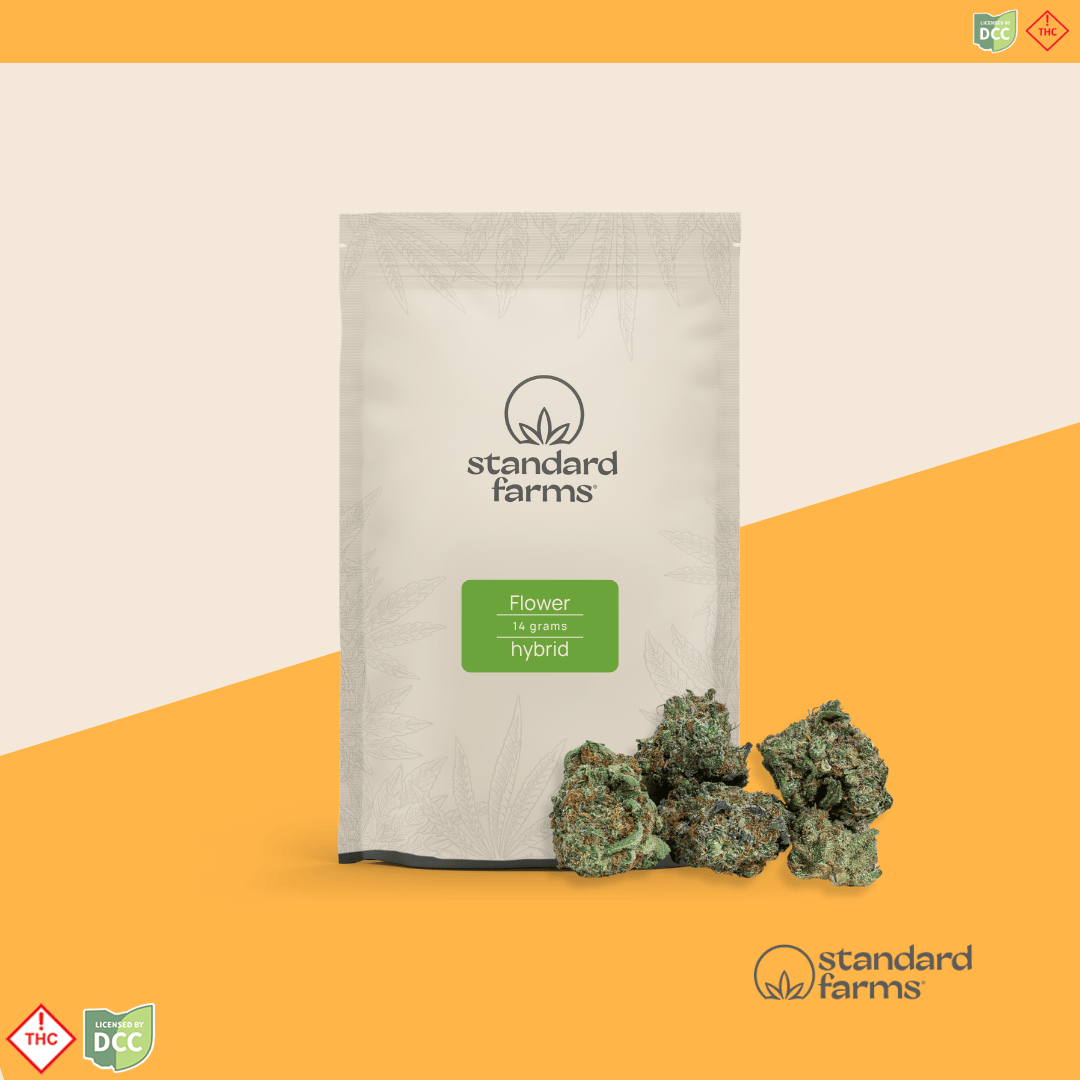Biscotti Mintz [14.15g]