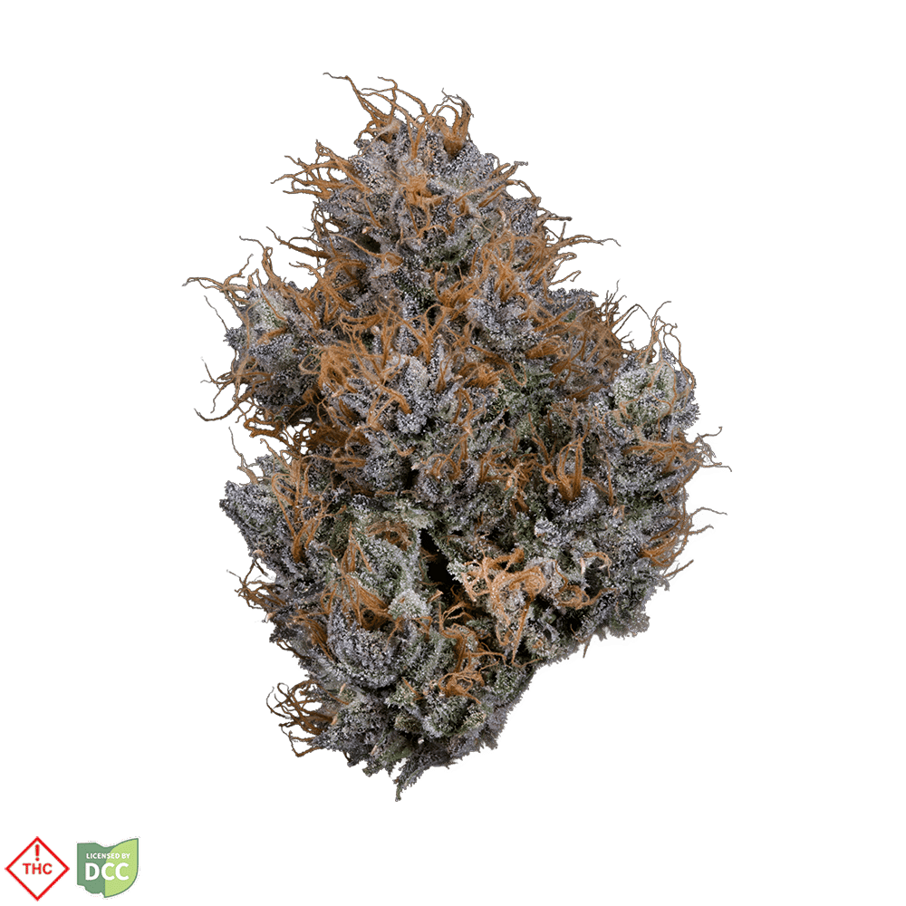 Donny Burger [3.54g]