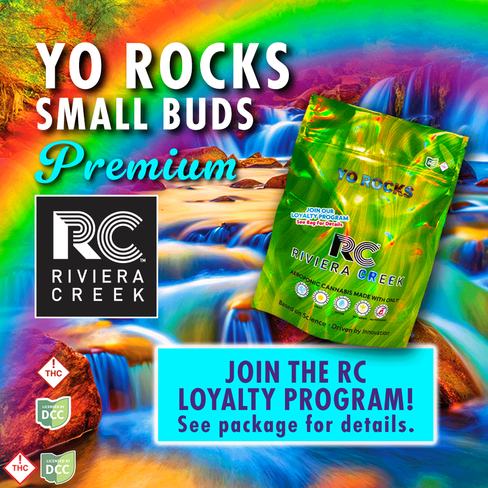 Yo Rocks Smalls Buds