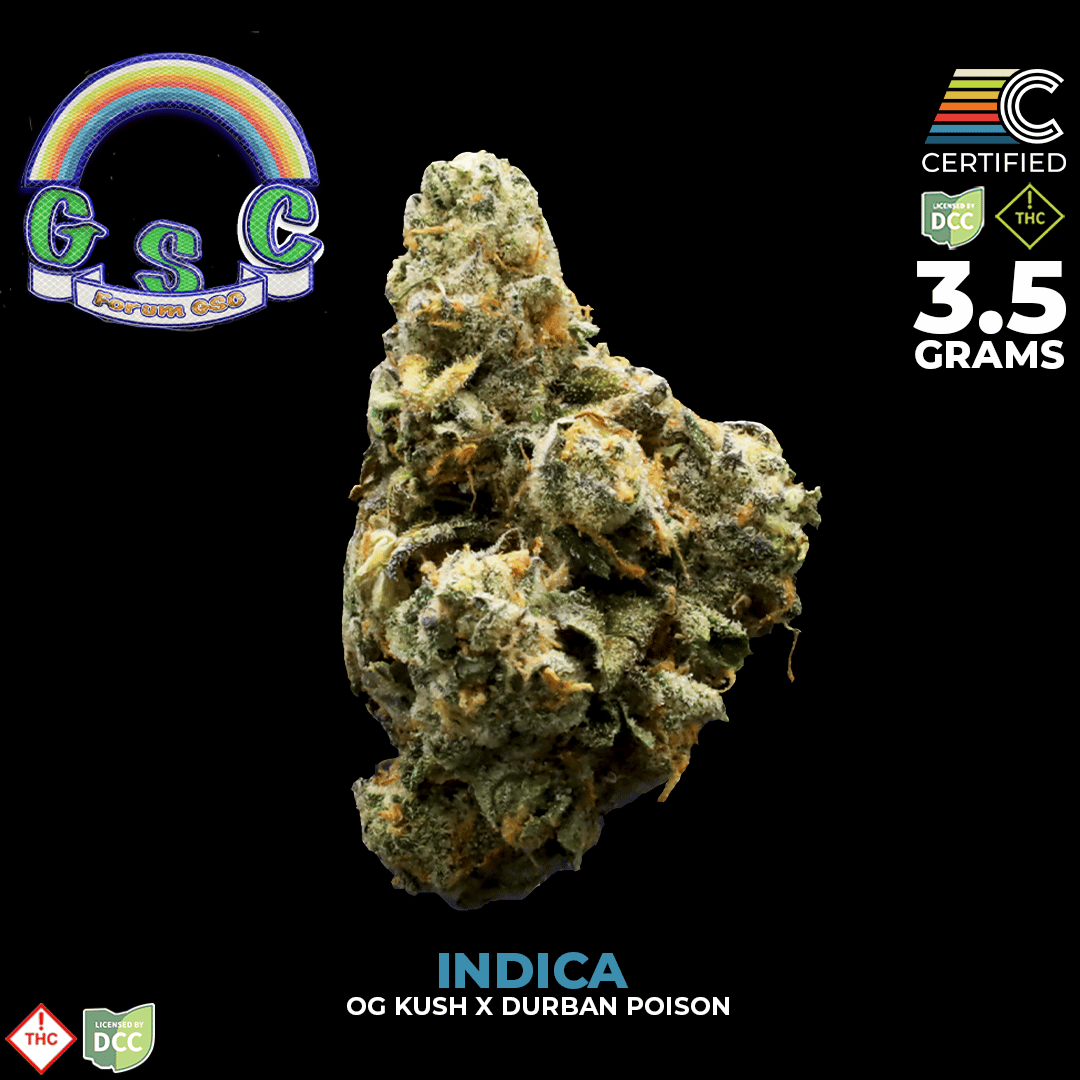 Forum GSC