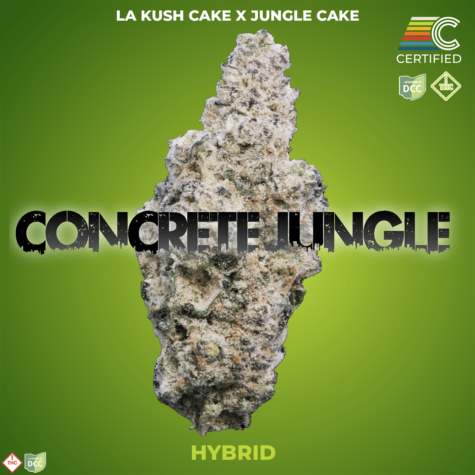 洋楽 CONCRETE JUNGLE GET PAID Concrete Jungle | Enzo Leep | Dias de Campo Records